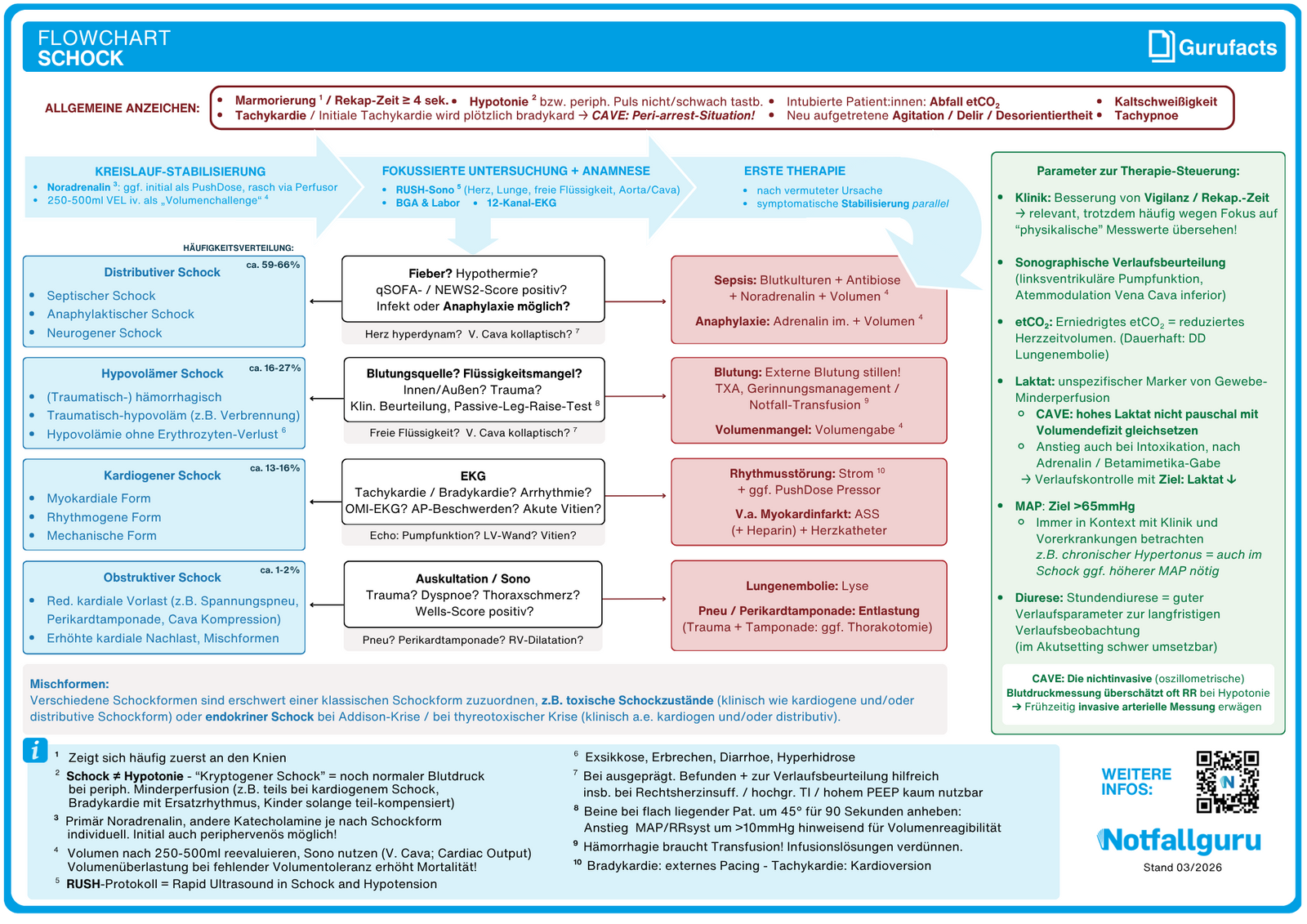 Schock (Flowchart)
