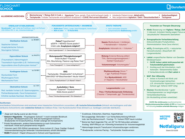 Schock (Flowchart)