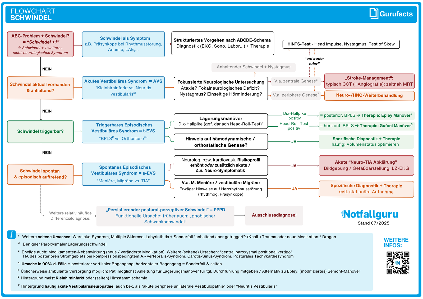 Schwindel (Flowchart)