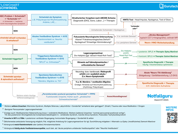 Schwindel (Flowchart)