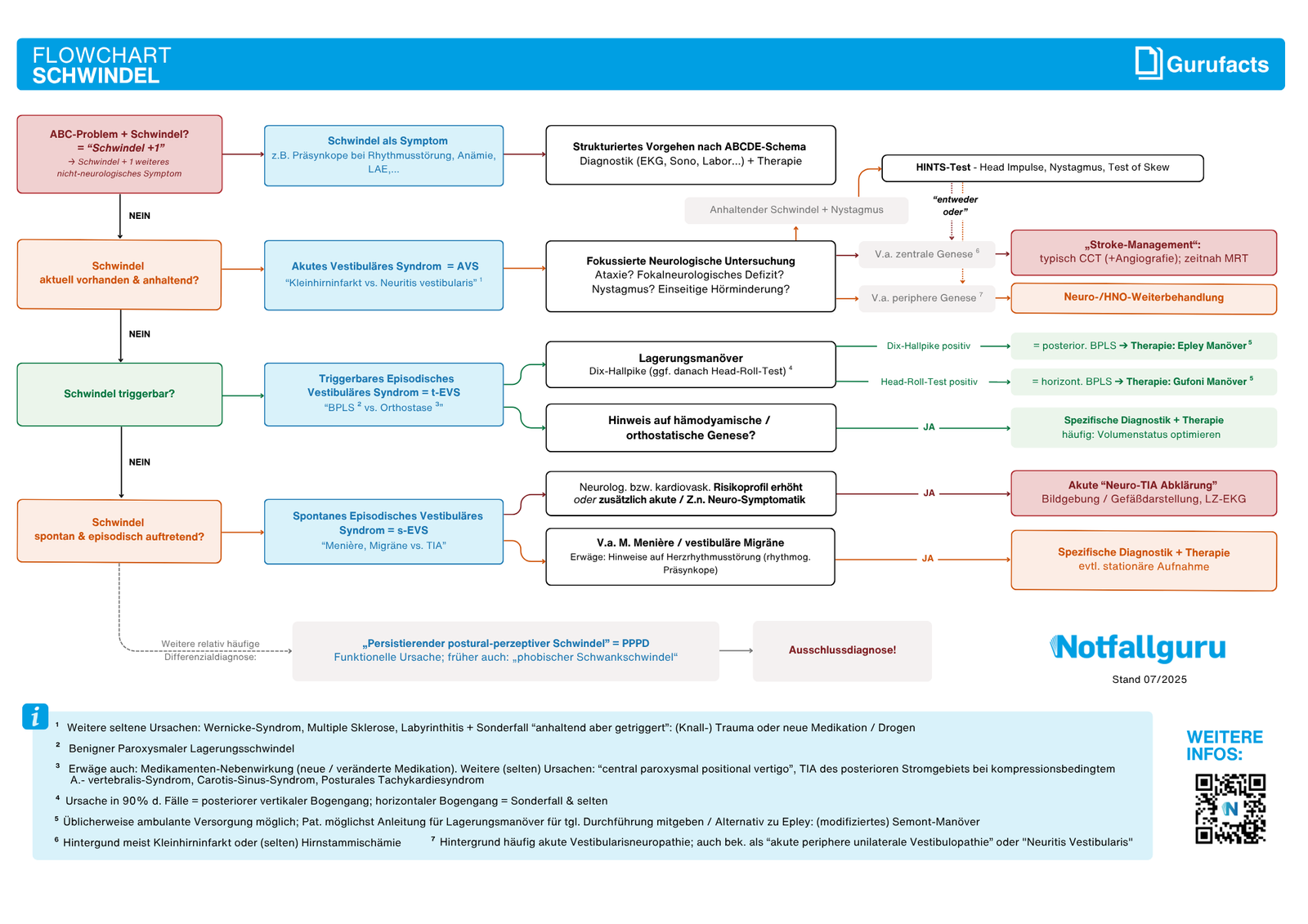 Schwindel (Flowchart)