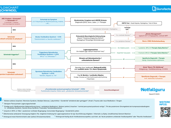 Schwindel (Flowchart)