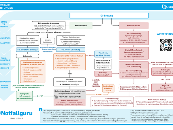 Gastrointestinale Blutungen