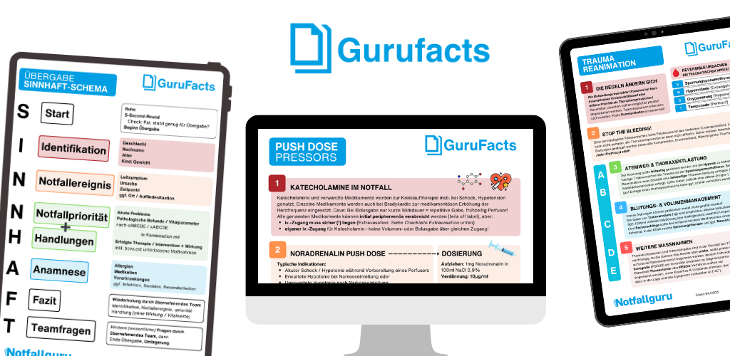GuruFacts starten!
