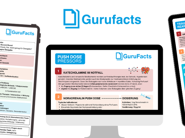 GuruFacts starten!