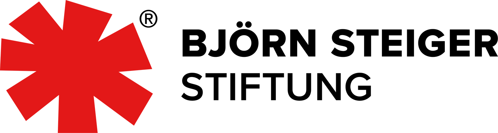 Logo BSS 2023 2zeilig 4c
