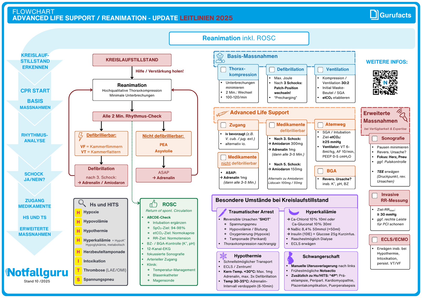 Reanimation Erwachsene (Flowchart)