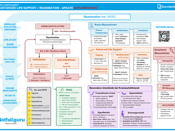 Reanimation Erwachsene (Flowchart)